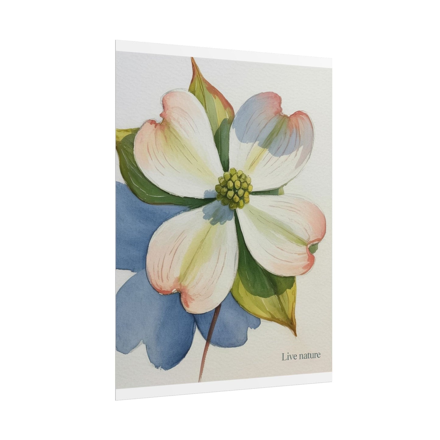 Flowering Dogwood Watercolor Print 'Live Nature