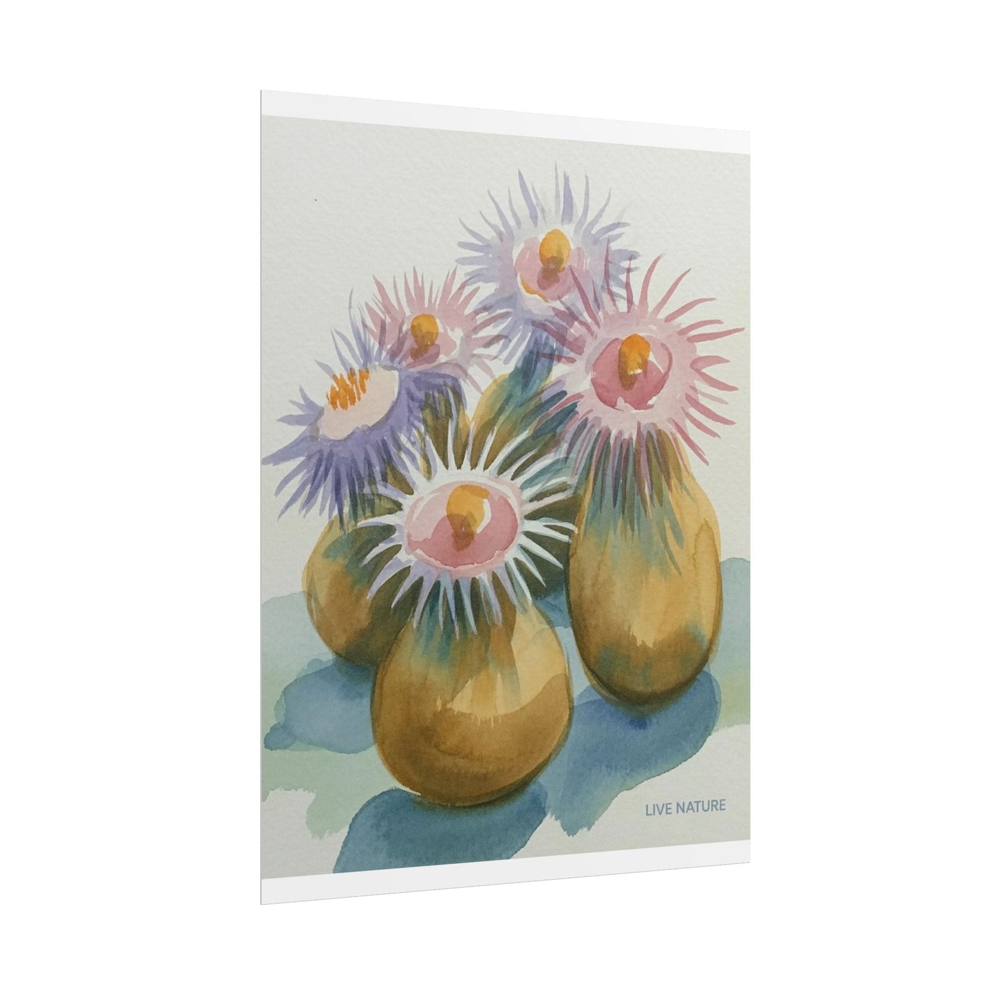 Colorful Sea Anemones Watercolor Art Print