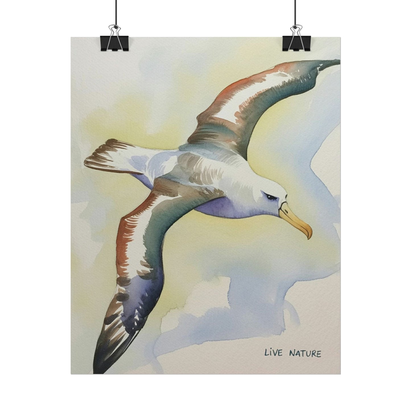 Albatross Watercolor Art Print - Live Nature Design