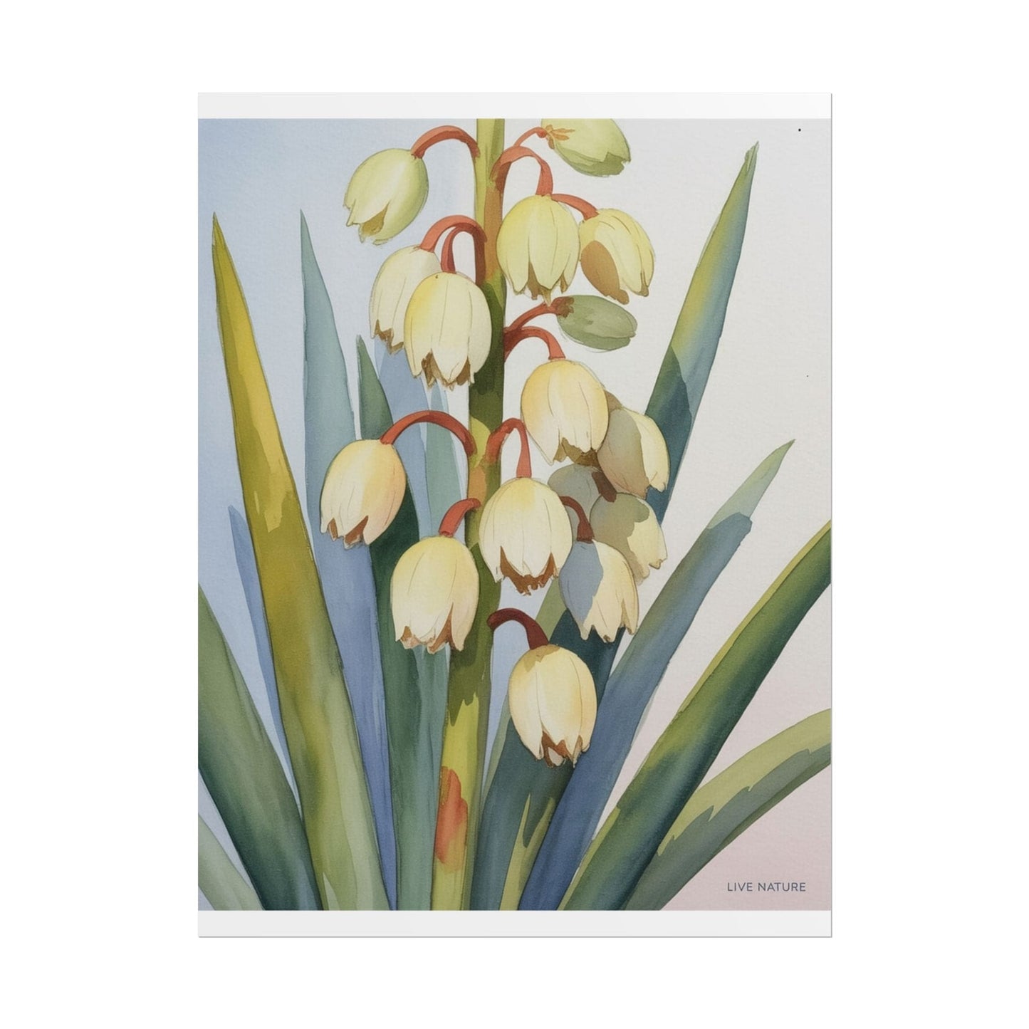 Yucca Bloom Watercolor Print Live Nature Collection