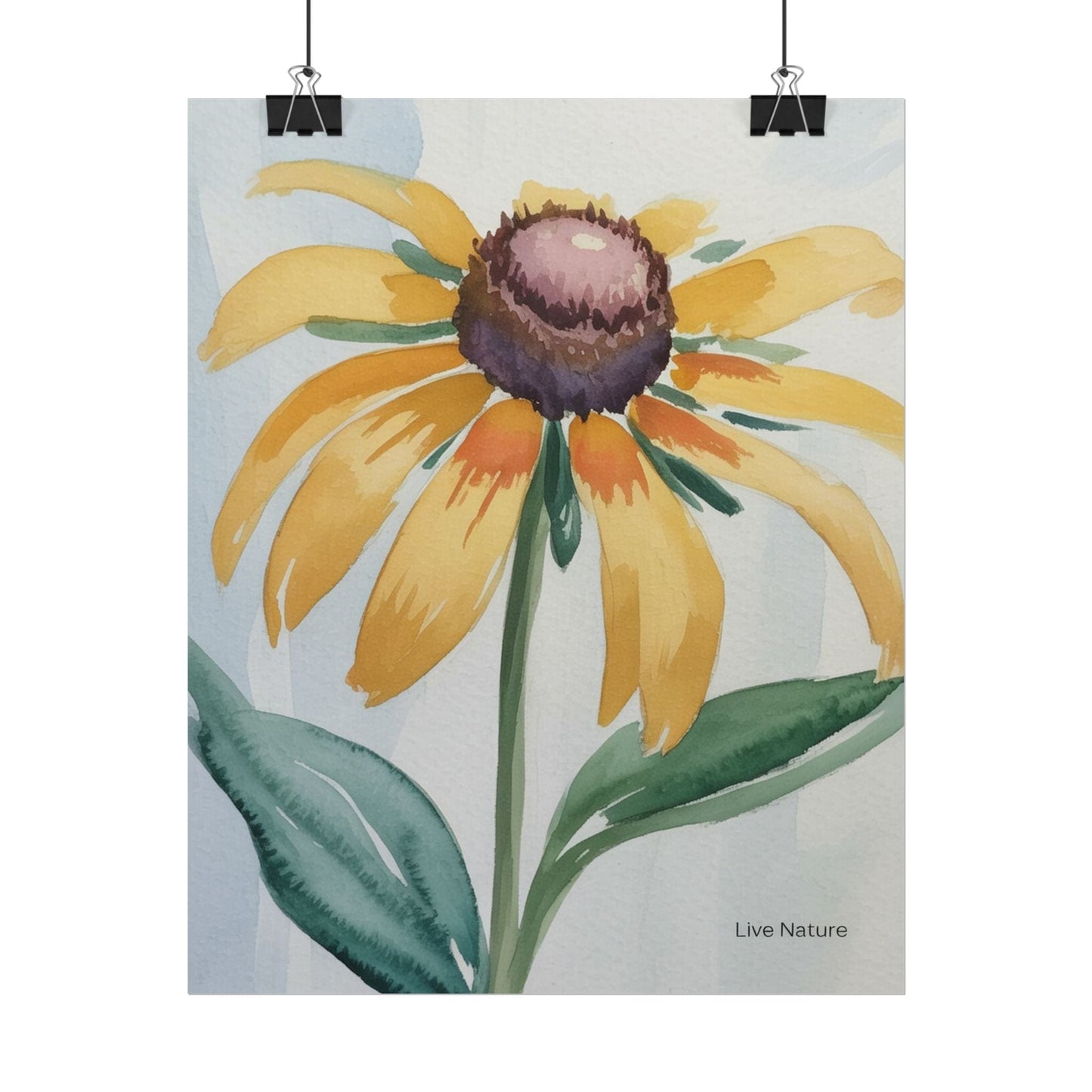 Black Eyed Susan Watercolor Art Print - Live Nature
