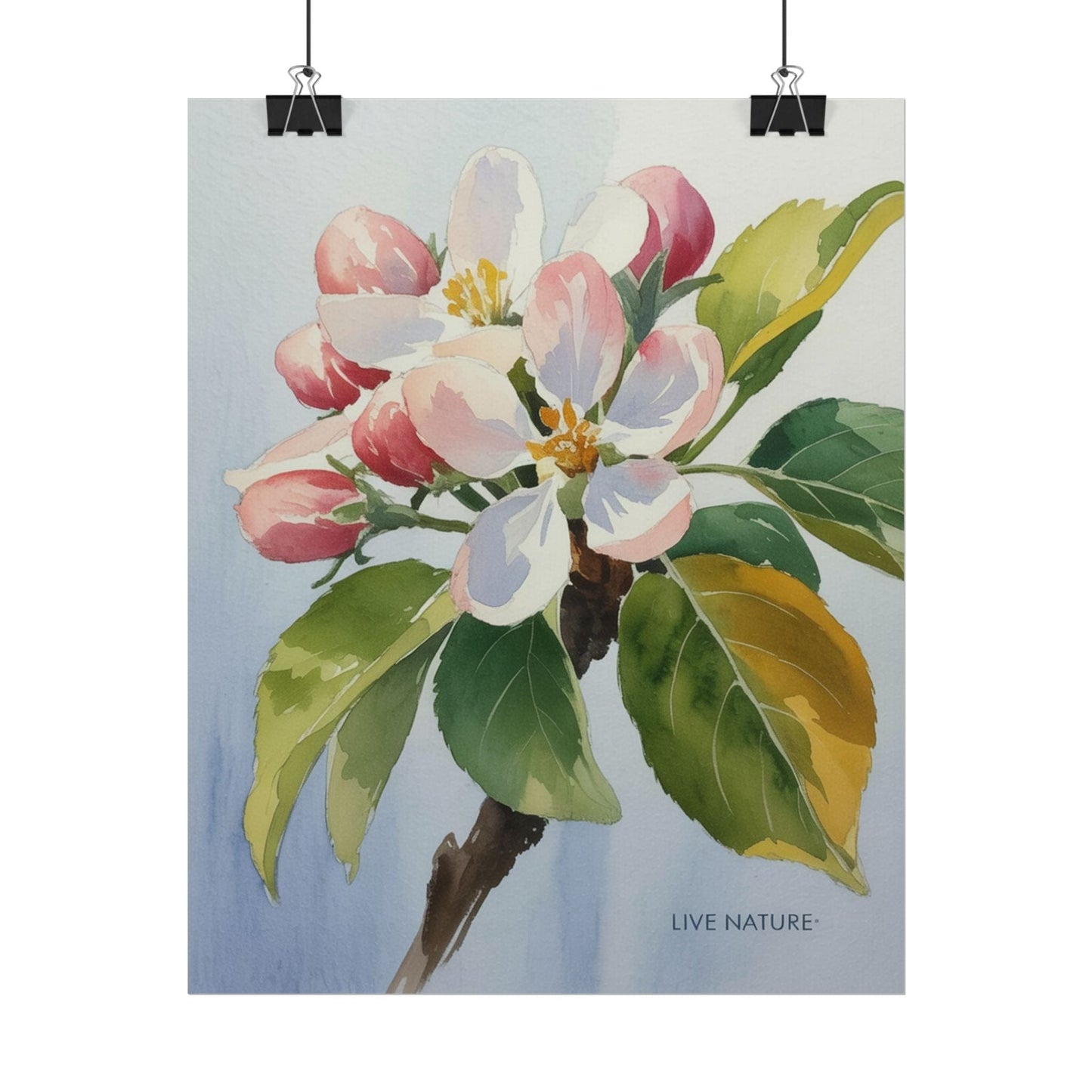 Apple Blossom Watercolor Print 'Live Nature' Design