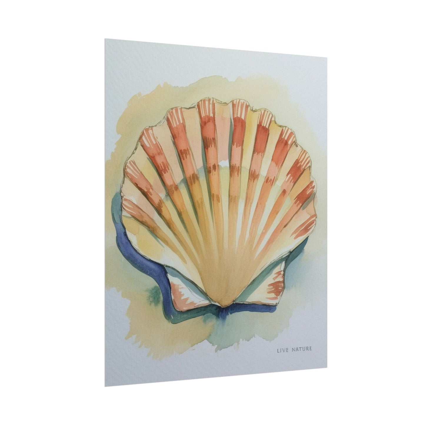 Clam Shell Watercolor Art Print 'Live Nature