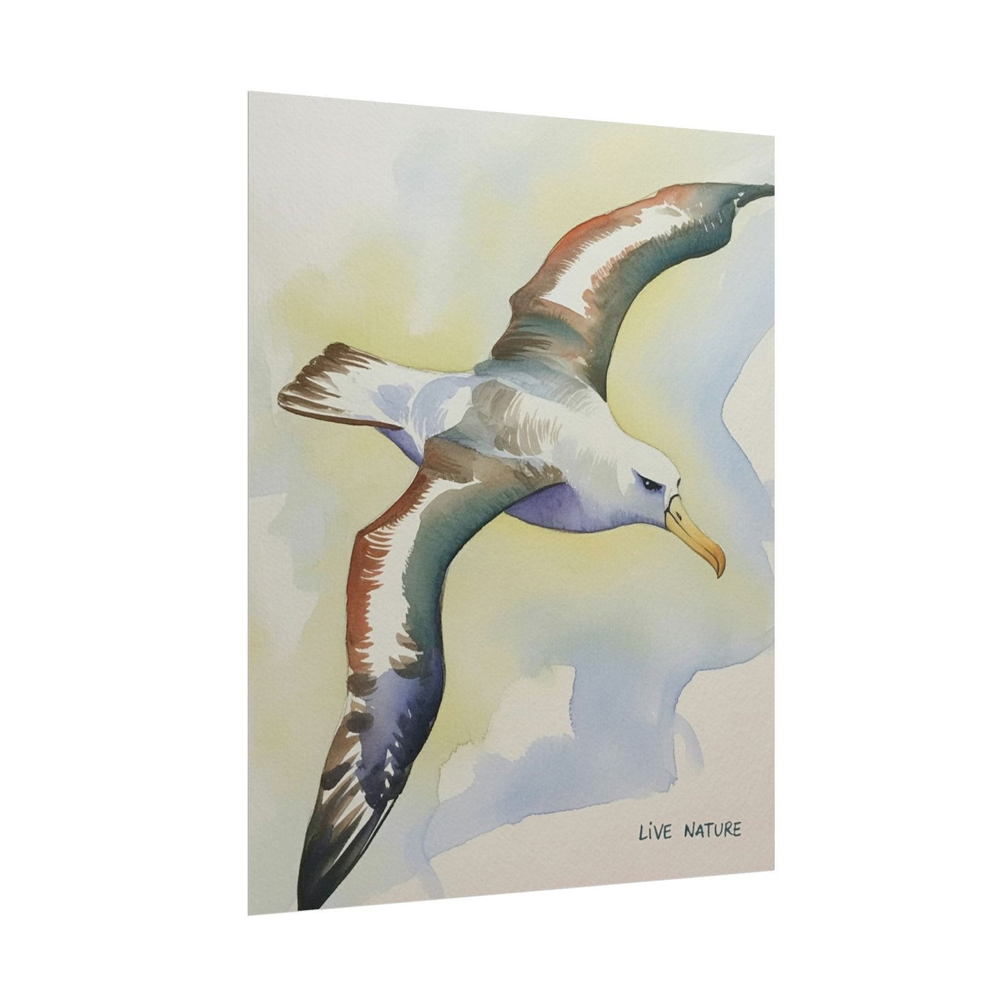 Albatross Watercolor Art Print - Live Nature Design