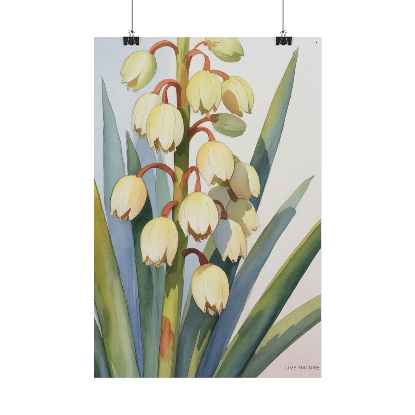 Yucca Bloom Watercolor Print Live Nature Collection
