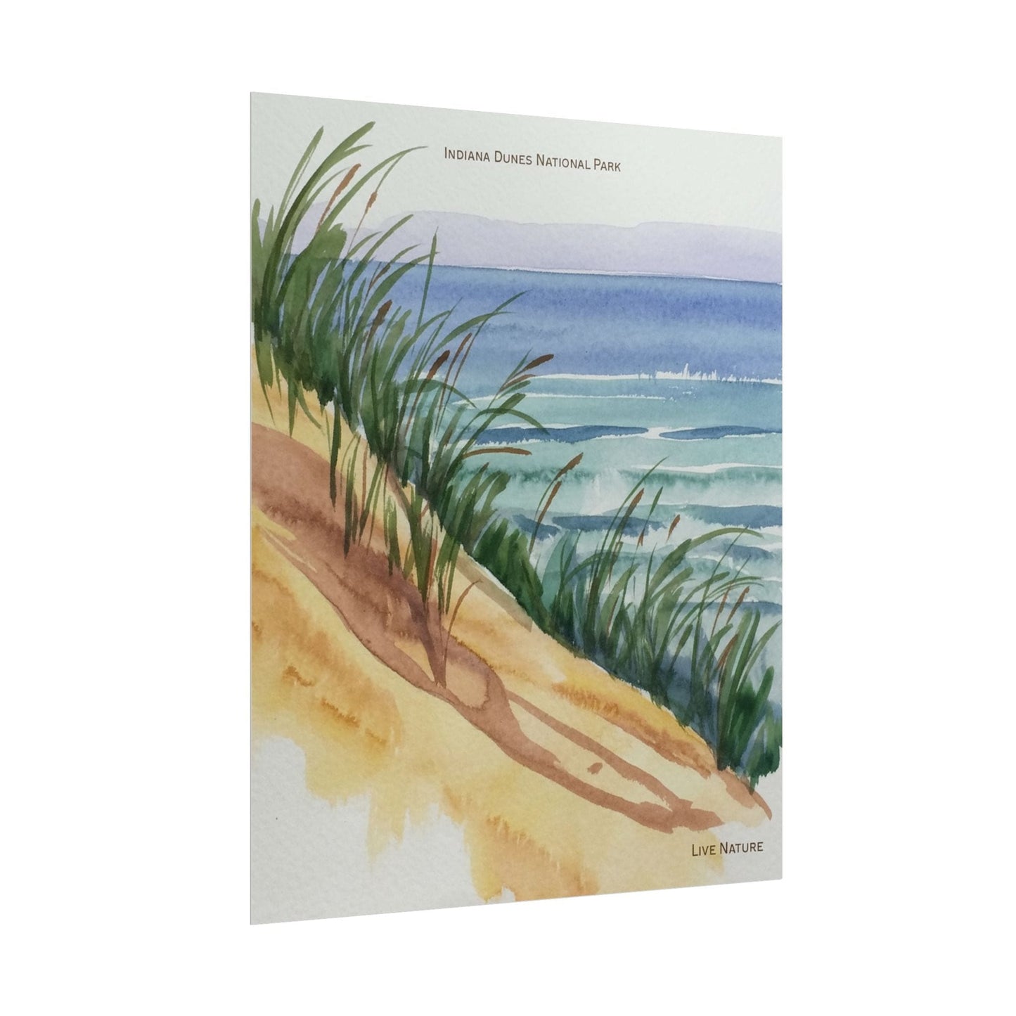 Indiana Dunes National Park Watercolor Print