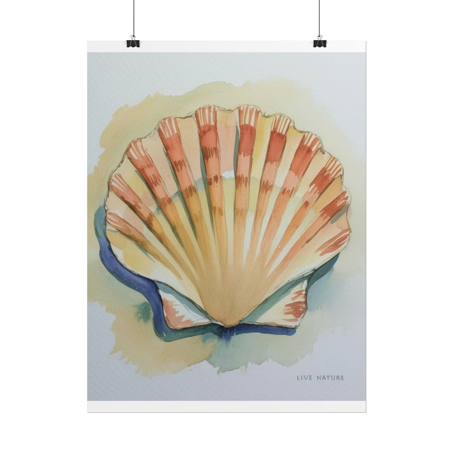 Clam Shell Watercolor Art Print 'Live Nature