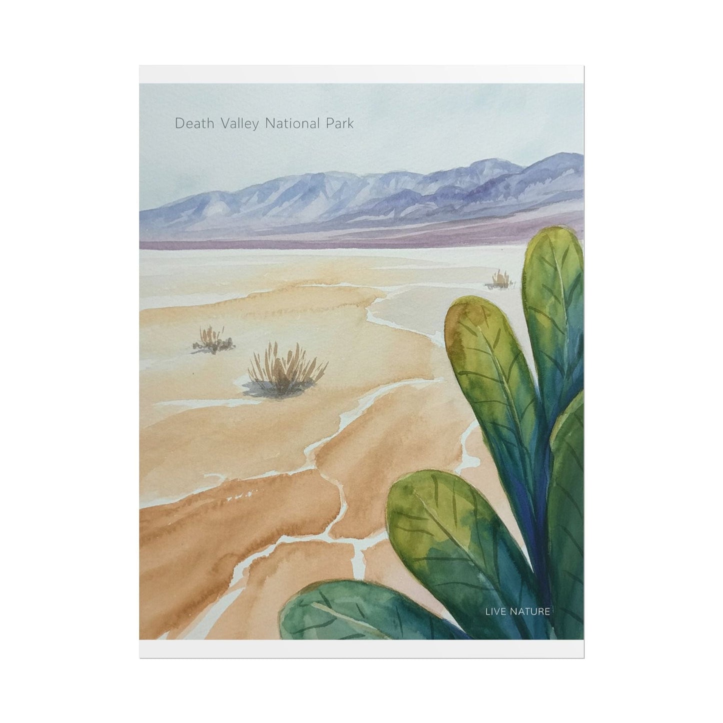 Death Valley National Park Watercolor Poster Print