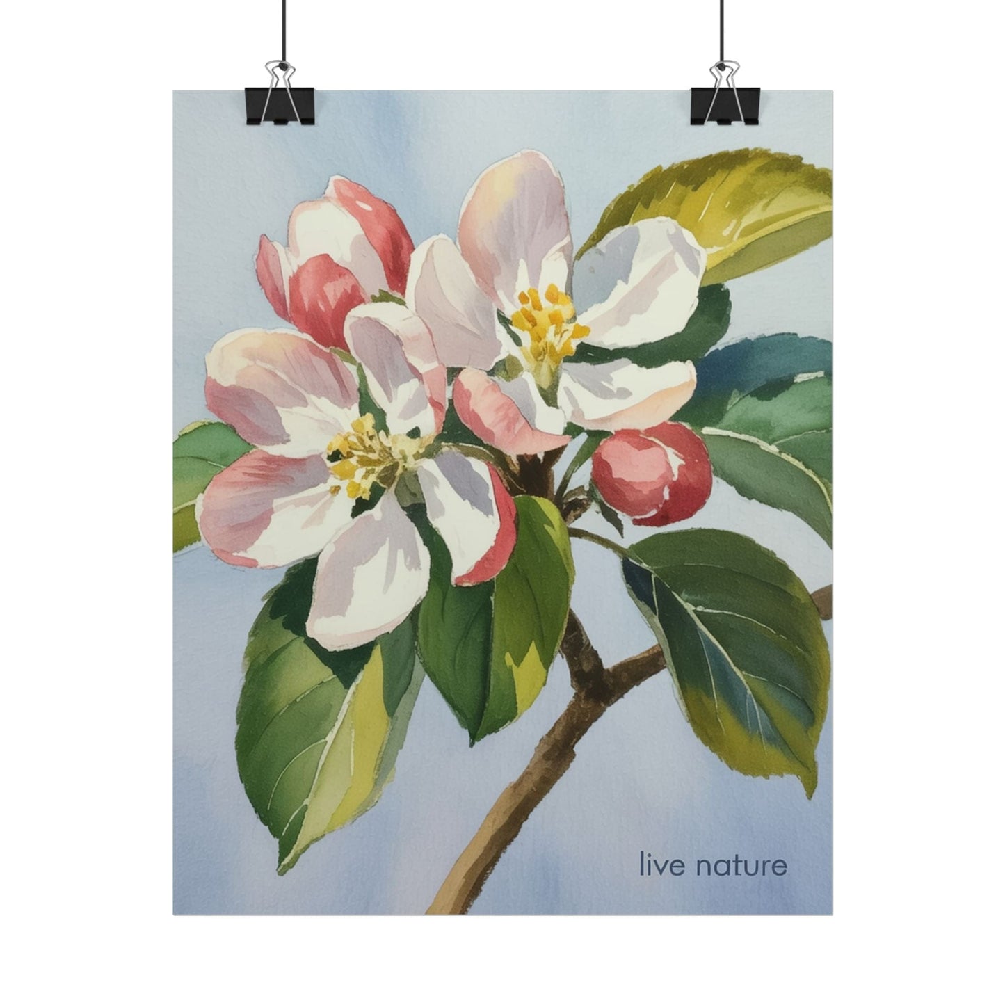 Apple Blossom Watercolor Art Print 'Live Nature' Design