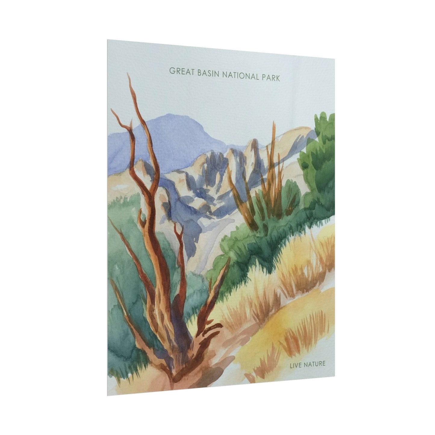 Great Basin National Park Watercolor Art Print