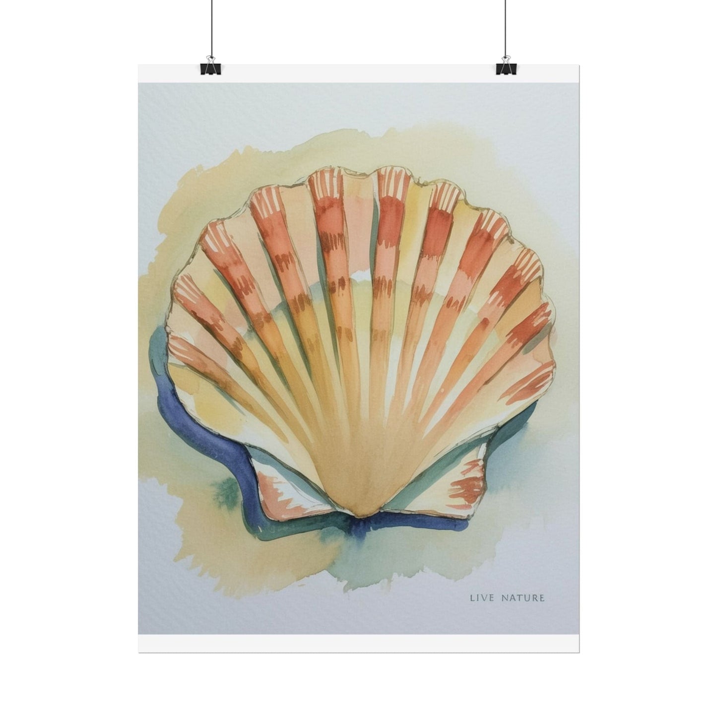 Clam Shell Watercolor Art Print 'Live Nature