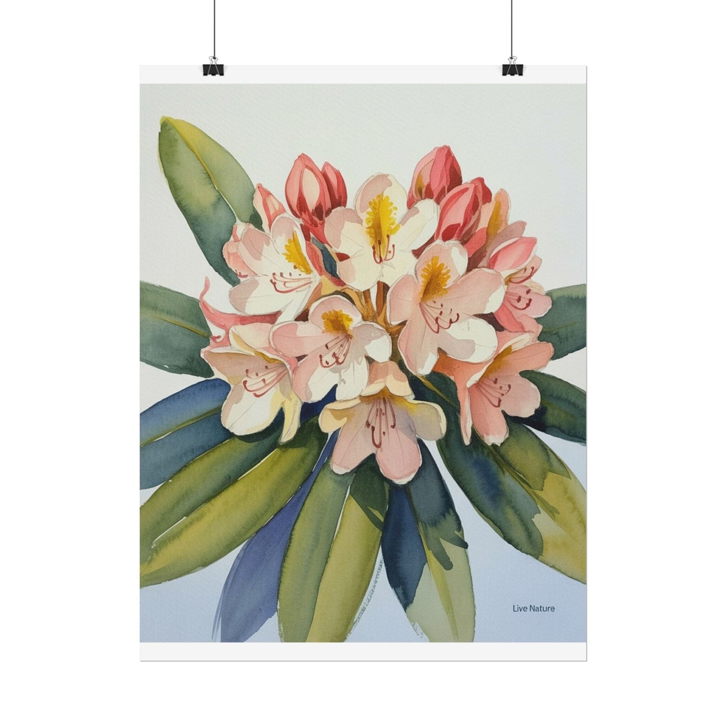 Coast Rhododendron Watercolor Print Washington Art