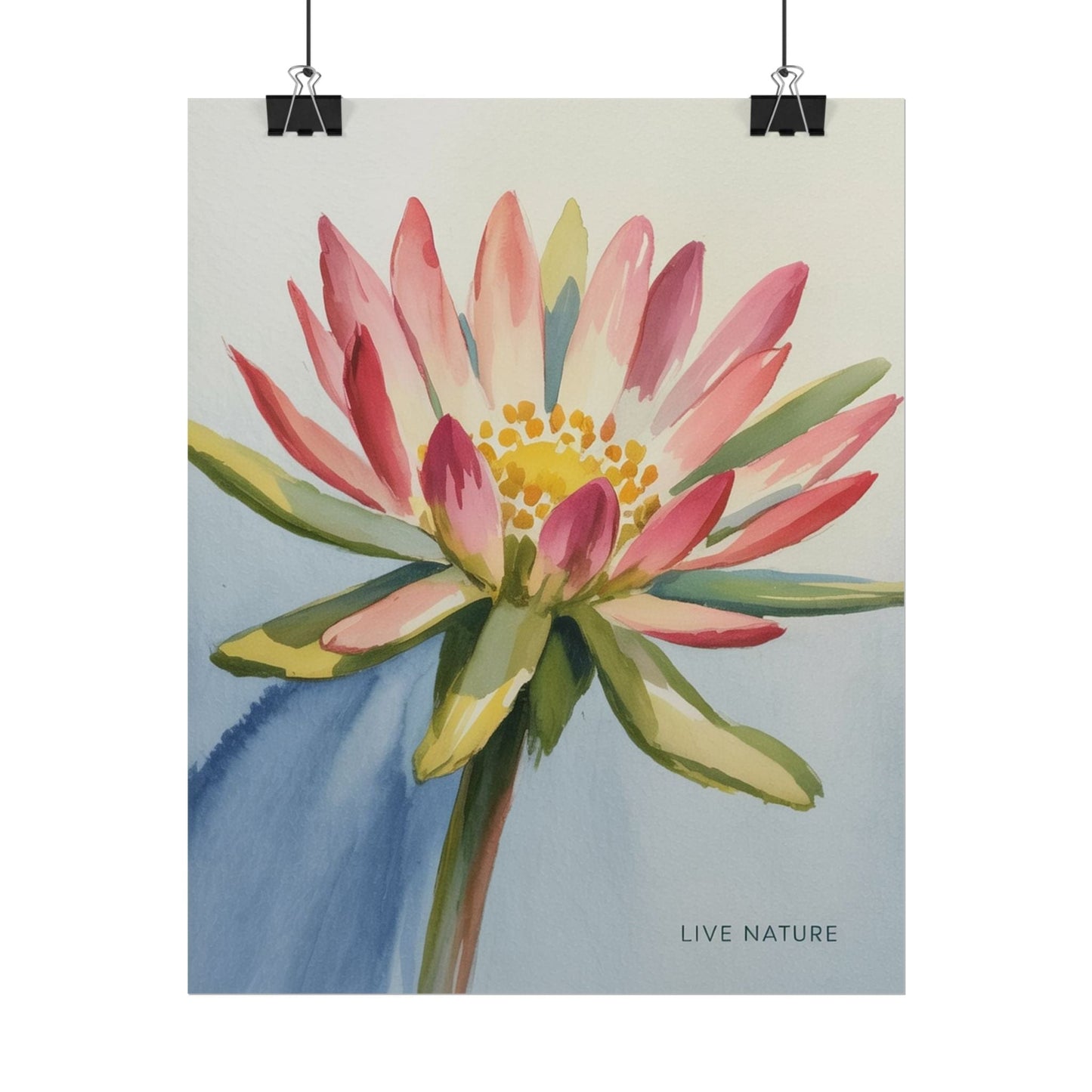 Bitterroot Flower Watercolor Print 'Live Nature