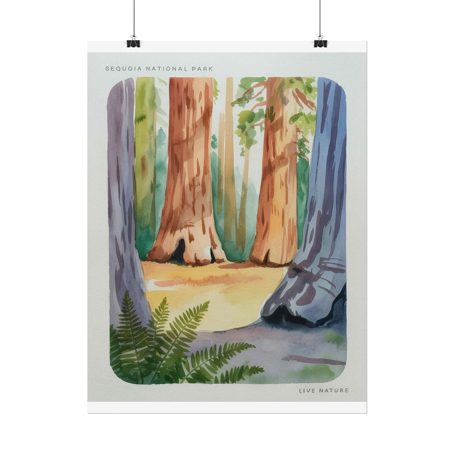Sequoia National Park Watercolor Print Poster
