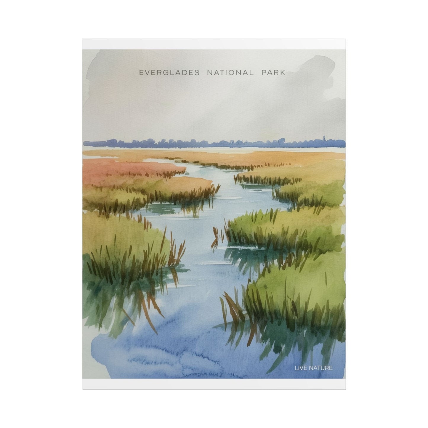 Everglades National Park Watercolor Poster Print