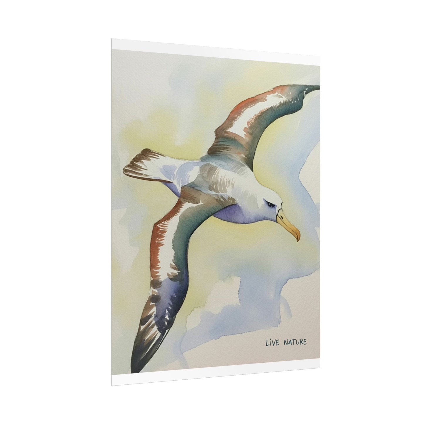 Albatross Watercolor Art Print - Live Nature Design