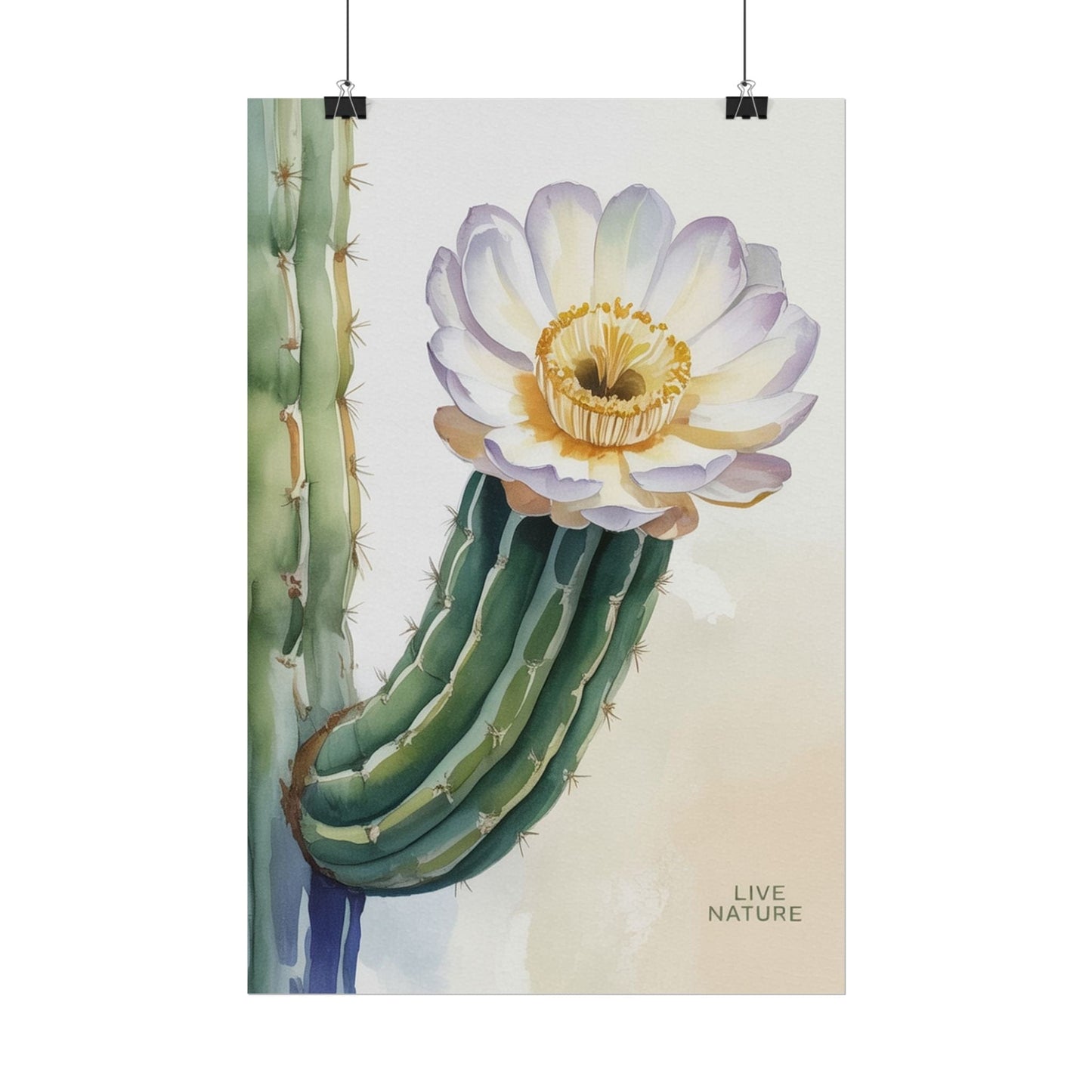 Saguaro Cactus Bloom Watercolor Art Print 'Live Nature