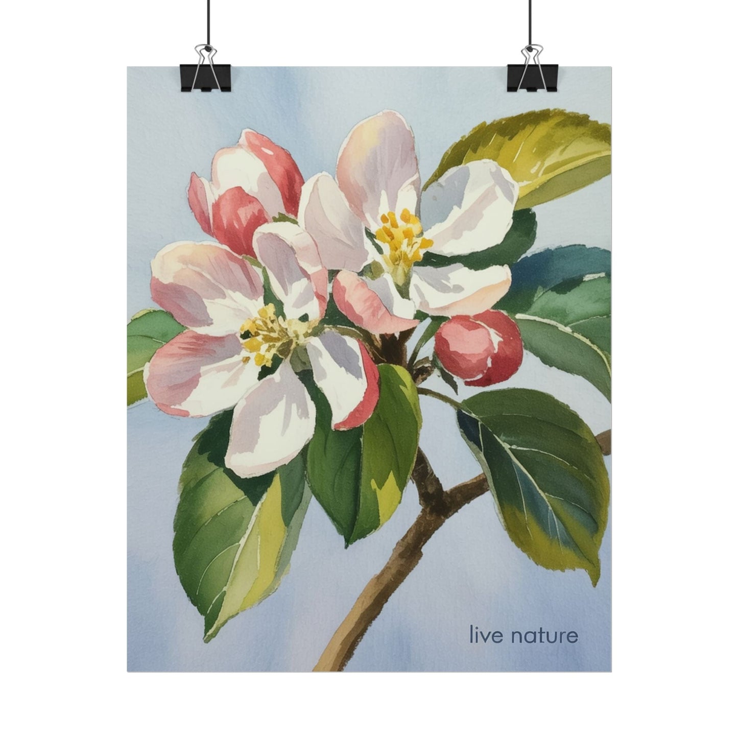 Apple Blossom Watercolor Art Print 'Live Nature' Design