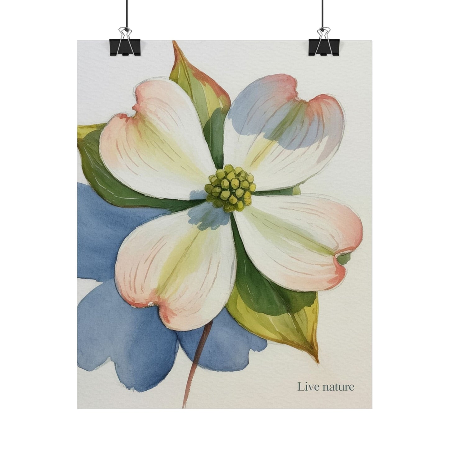 Flowering Dogwood Watercolor Print 'Live Nature