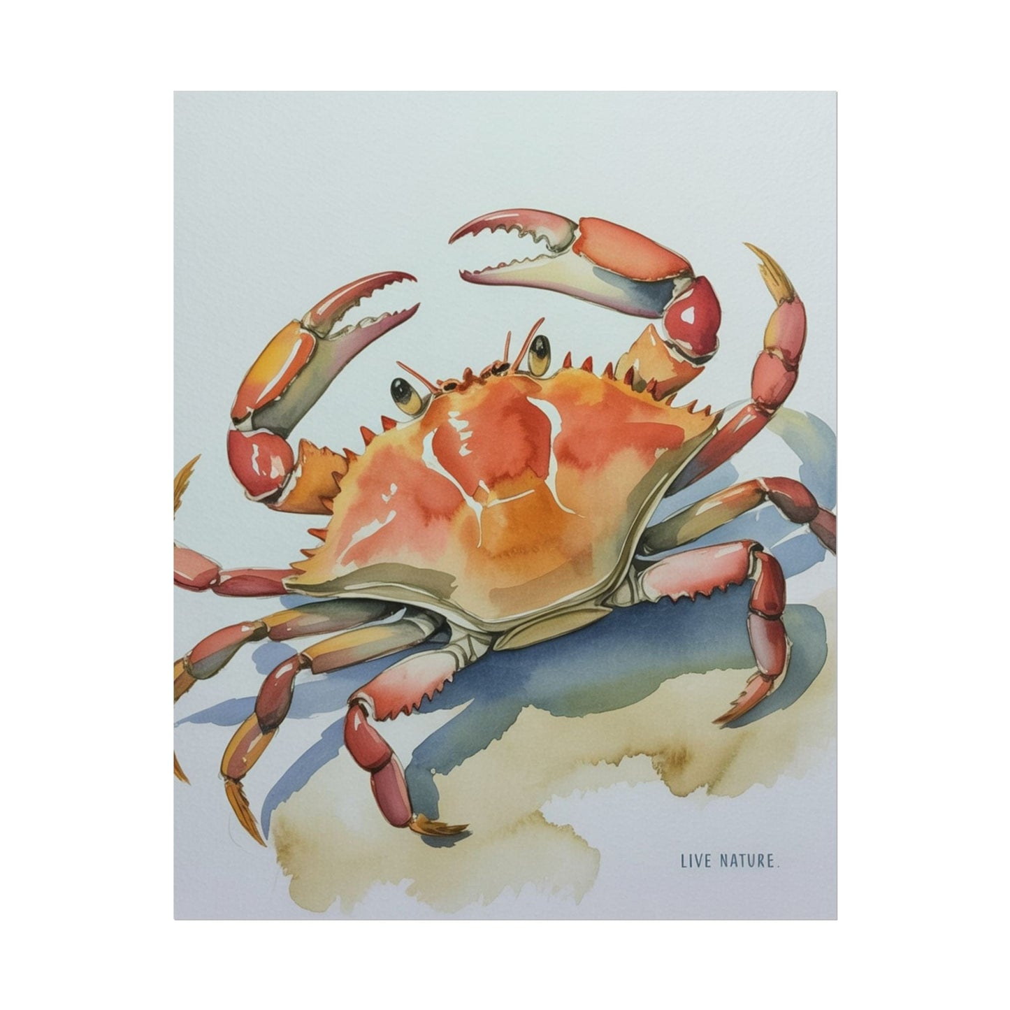 Live Nature Crab Watercolor Art Print Poster