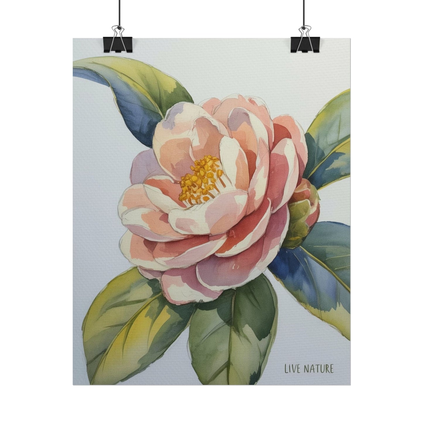 Camellia Flower Watercolor Art Print 'Live Nature
