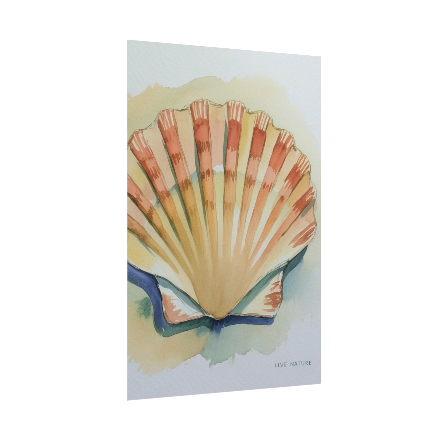 Clam Shell Watercolor Art Print 'Live Nature
