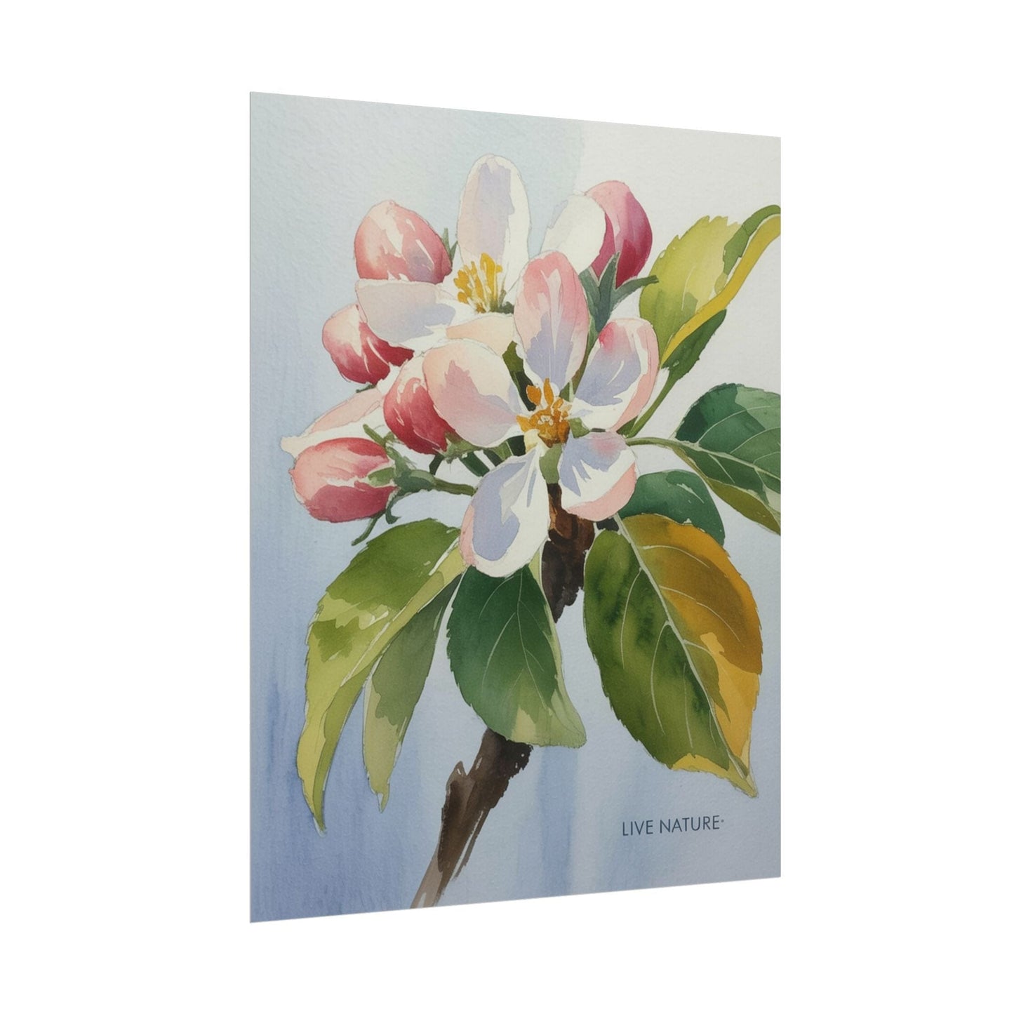 Apple Blossom Watercolor Print 'Live Nature' Design