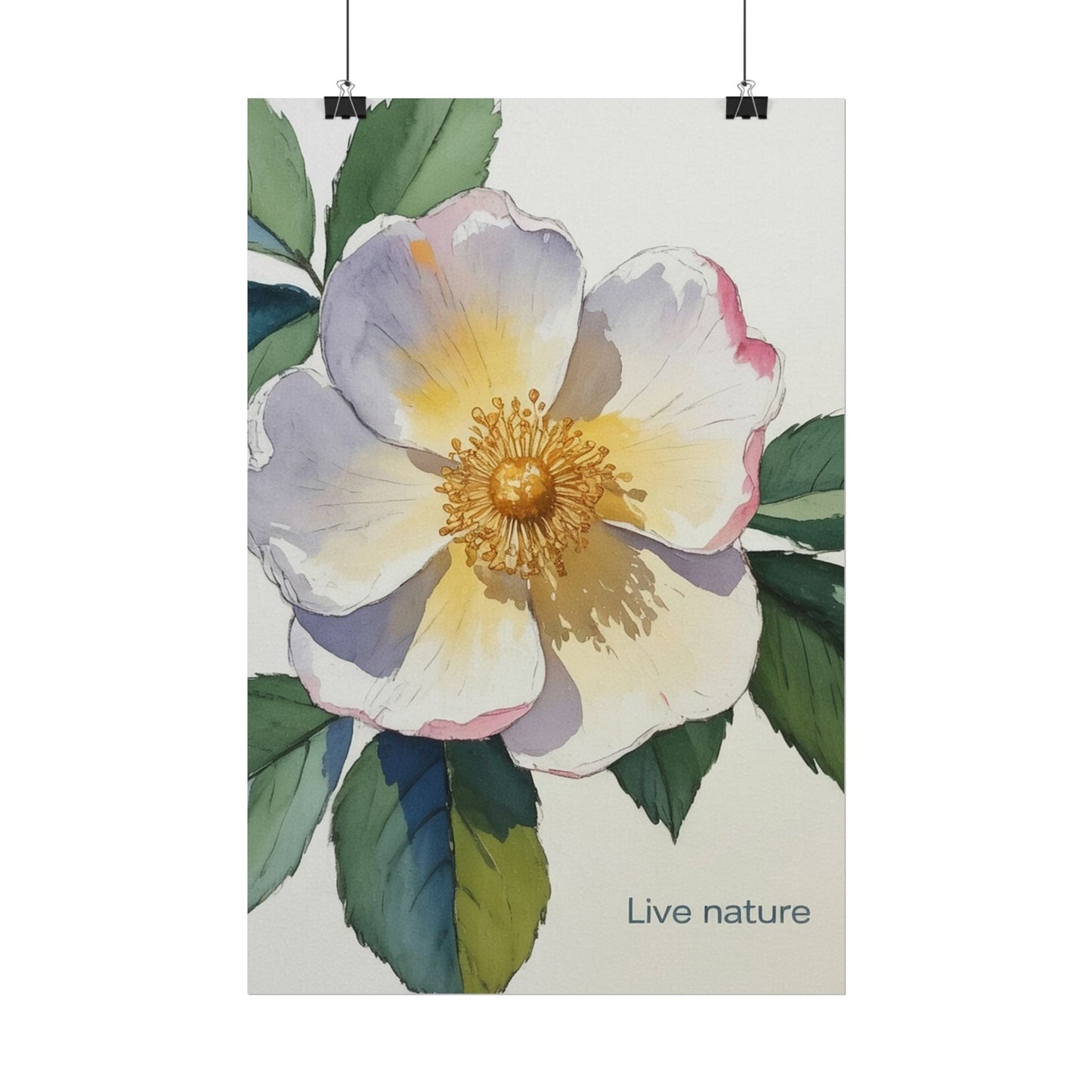 Cherokee Rose Watercolor Art Print 'Live Nature