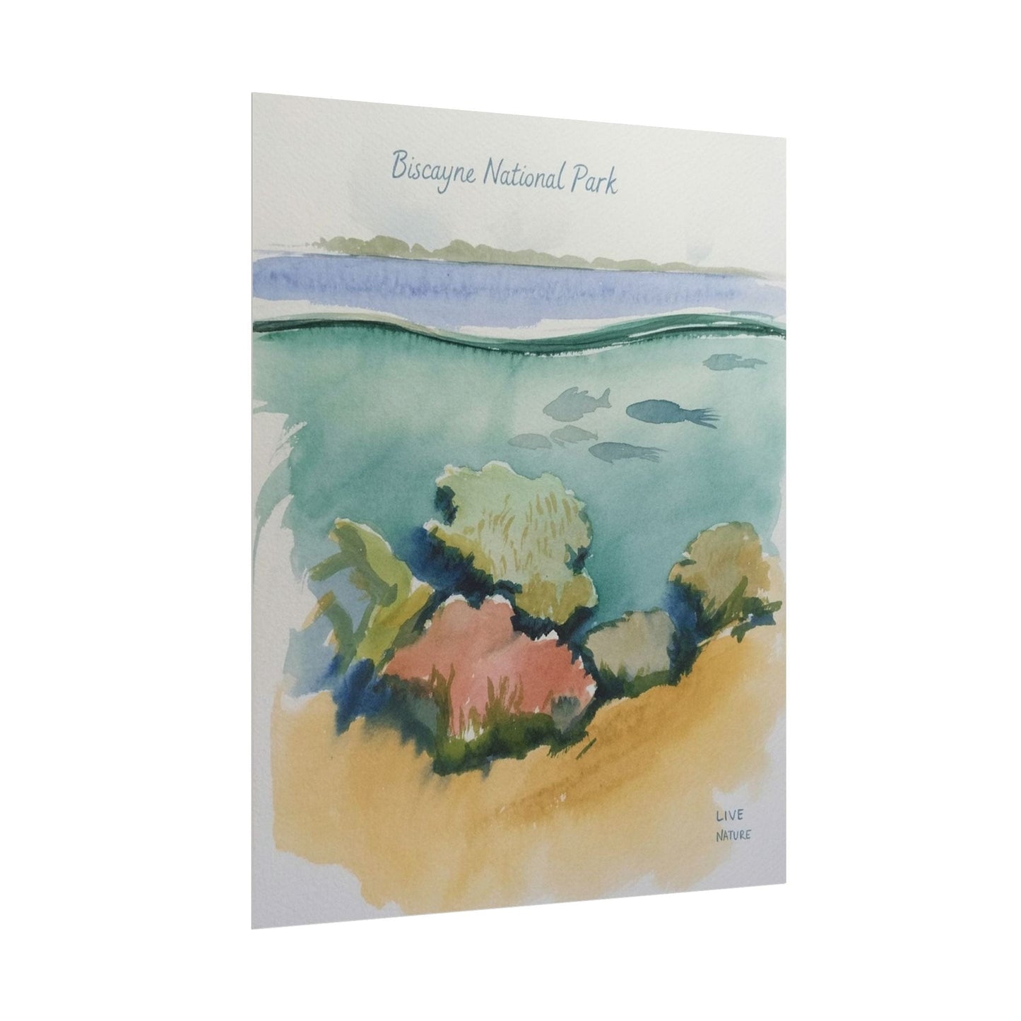 Biscayne National Park Underwater Watercolor Print