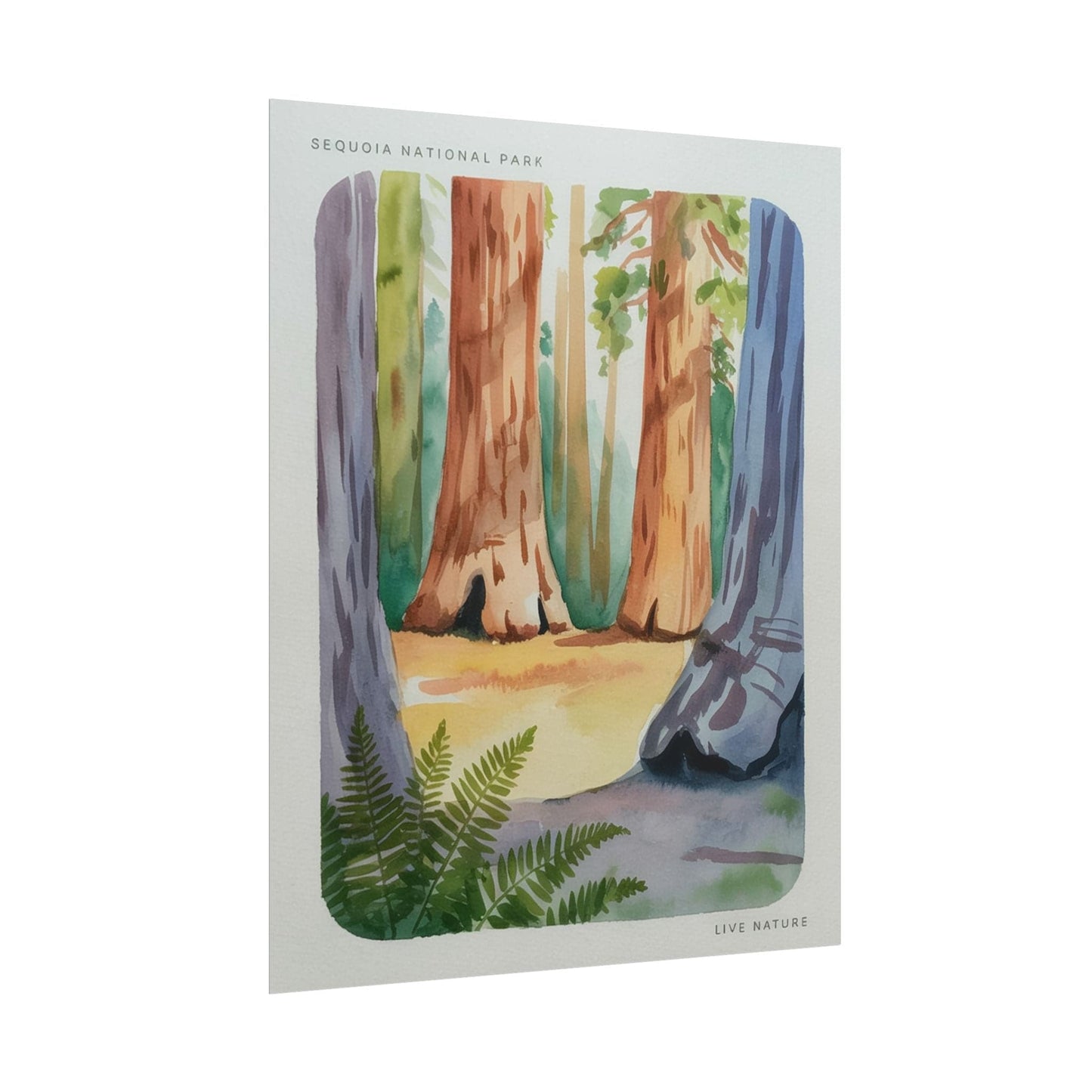 Sequoia National Park Watercolor Print Poster