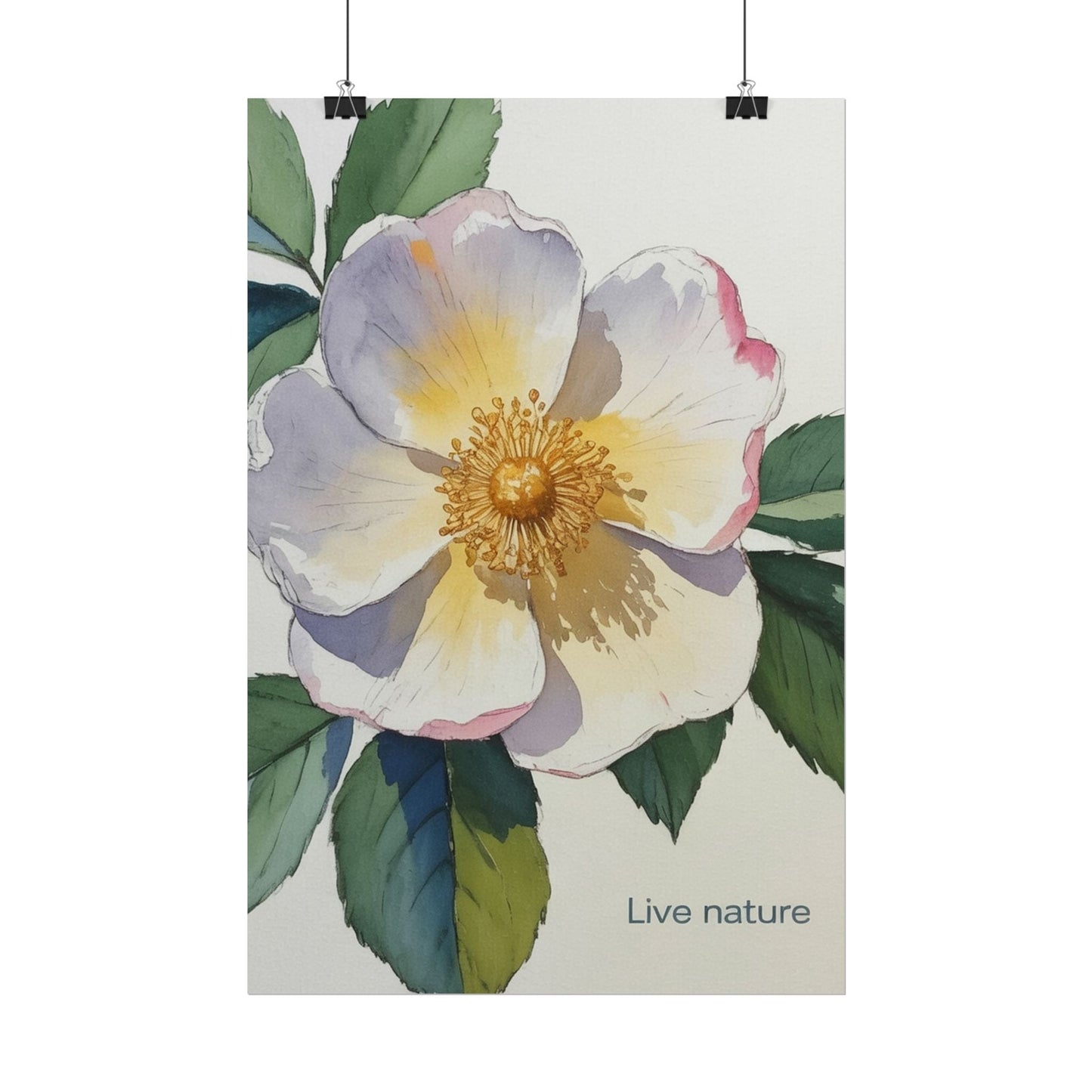 Cherokee Rose Watercolor Art Print 'Live Nature