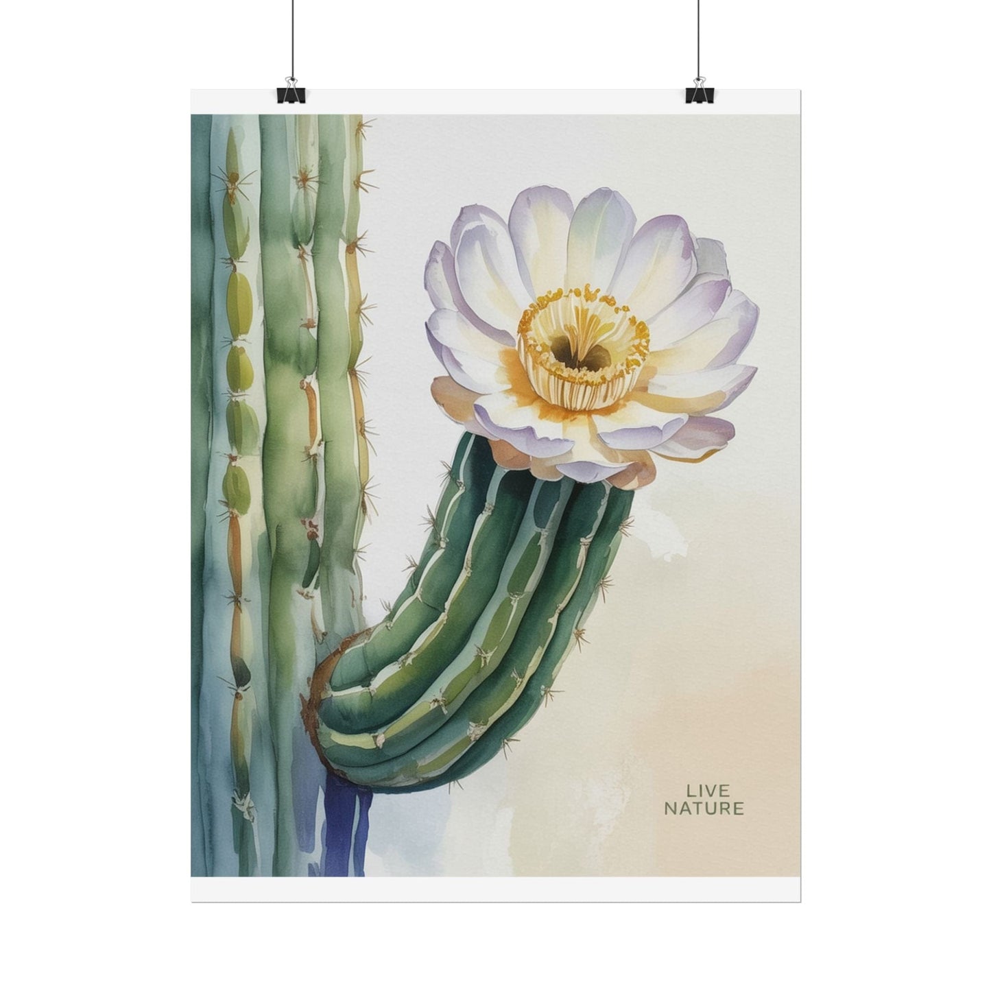 Saguaro Cactus Bloom Watercolor Art Print 'Live Nature