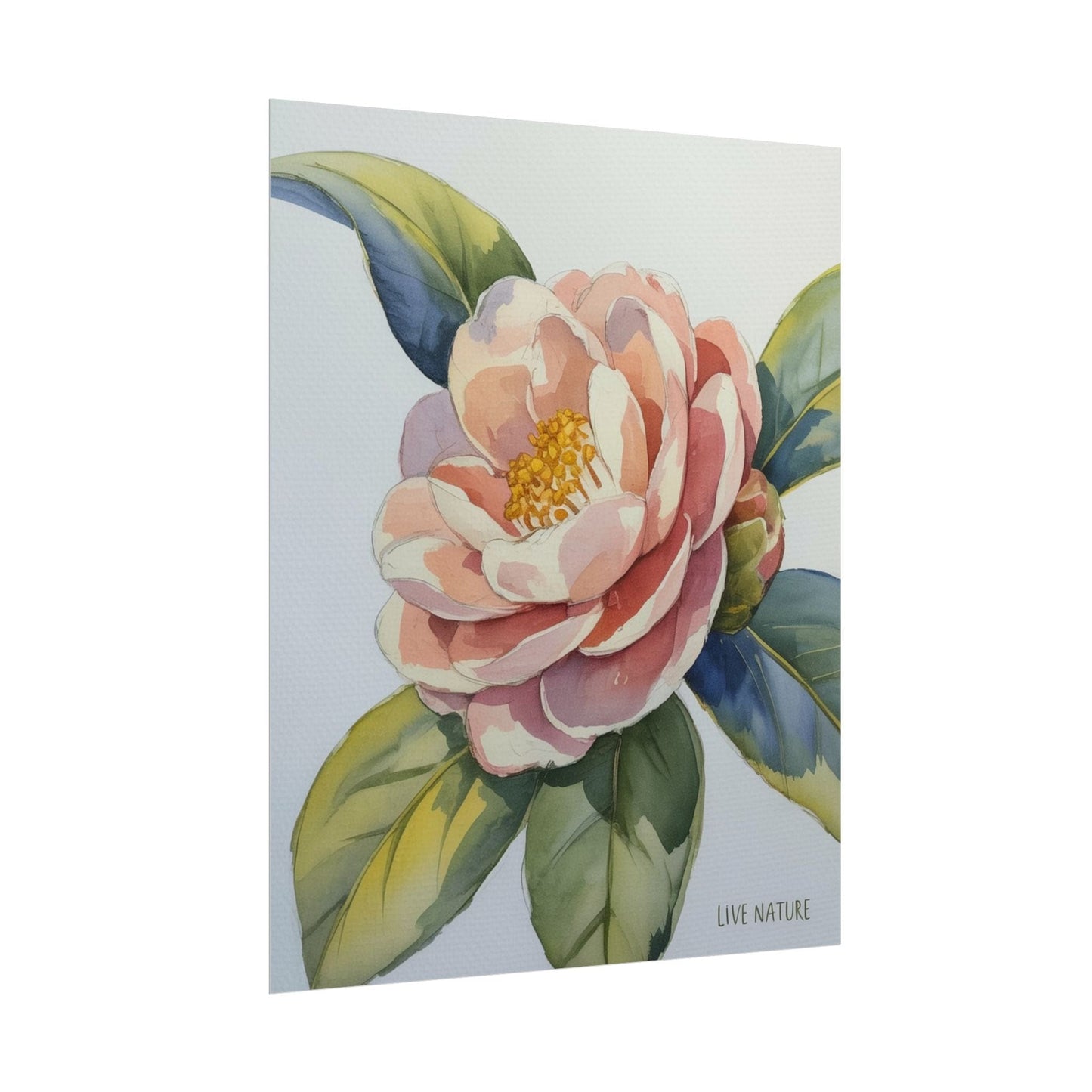 Camellia Flower Watercolor Art Print 'Live Nature