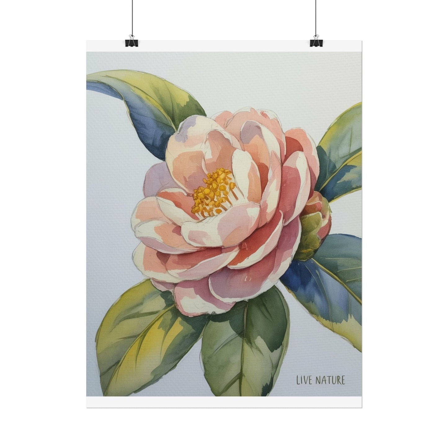 Camellia Flower Watercolor Art Print 'Live Nature