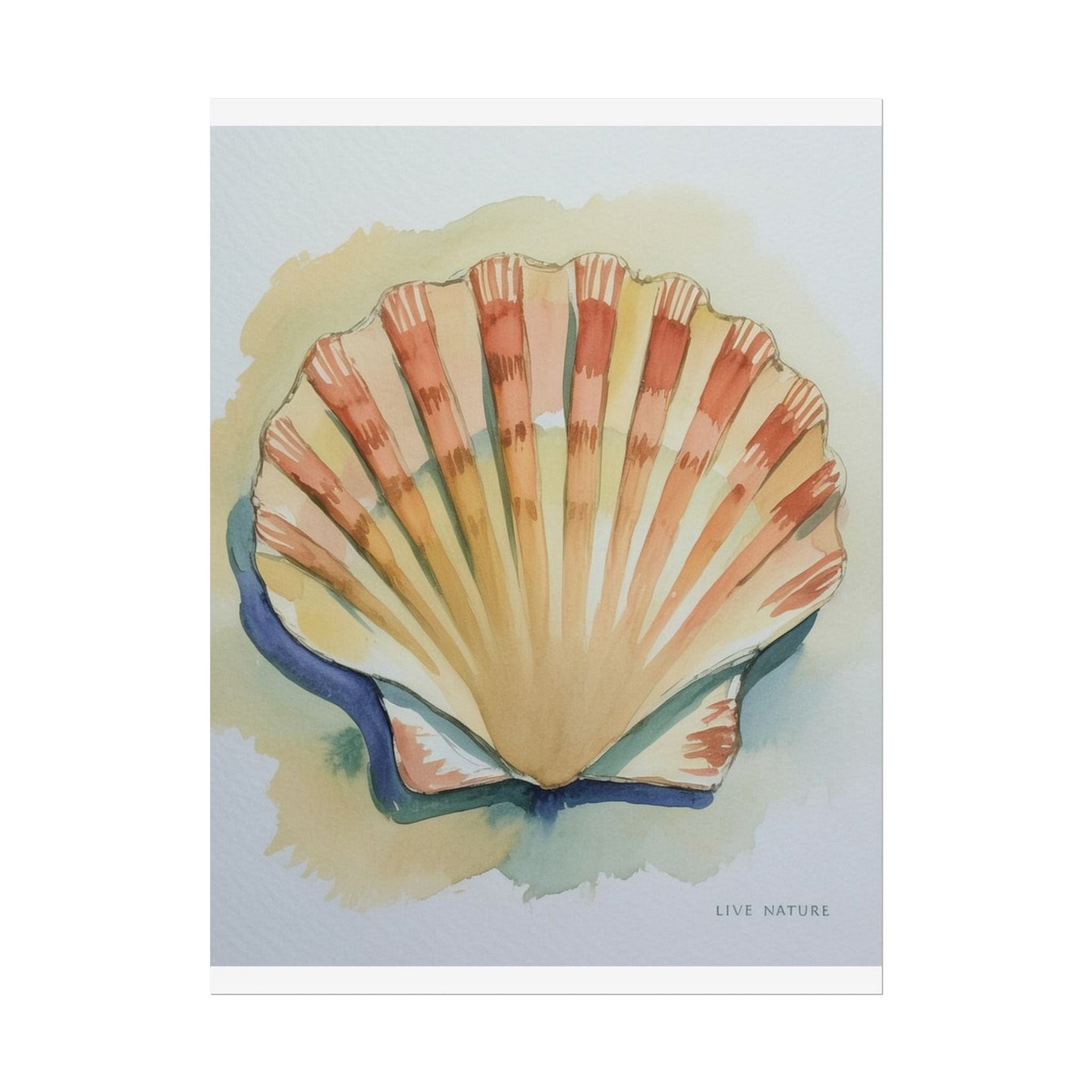 Clam Shell Watercolor Art Print 'Live Nature