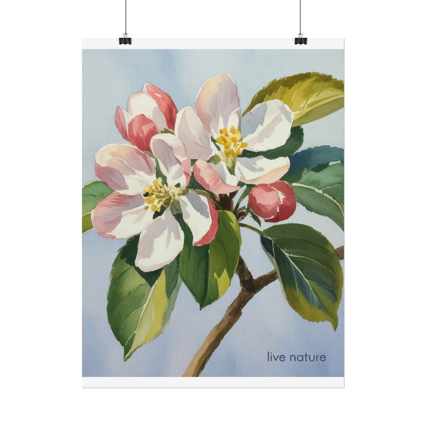 Apple Blossom Watercolor Art Print 'Live Nature' Design
