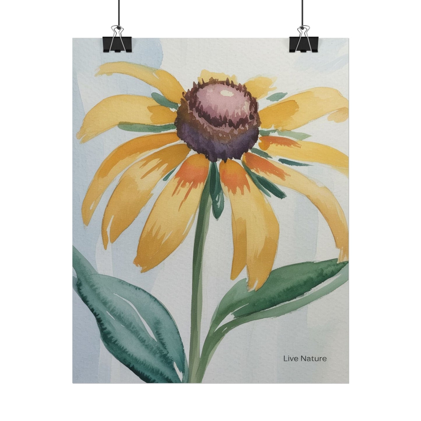 Black Eyed Susan Watercolor Art Print - Live Nature