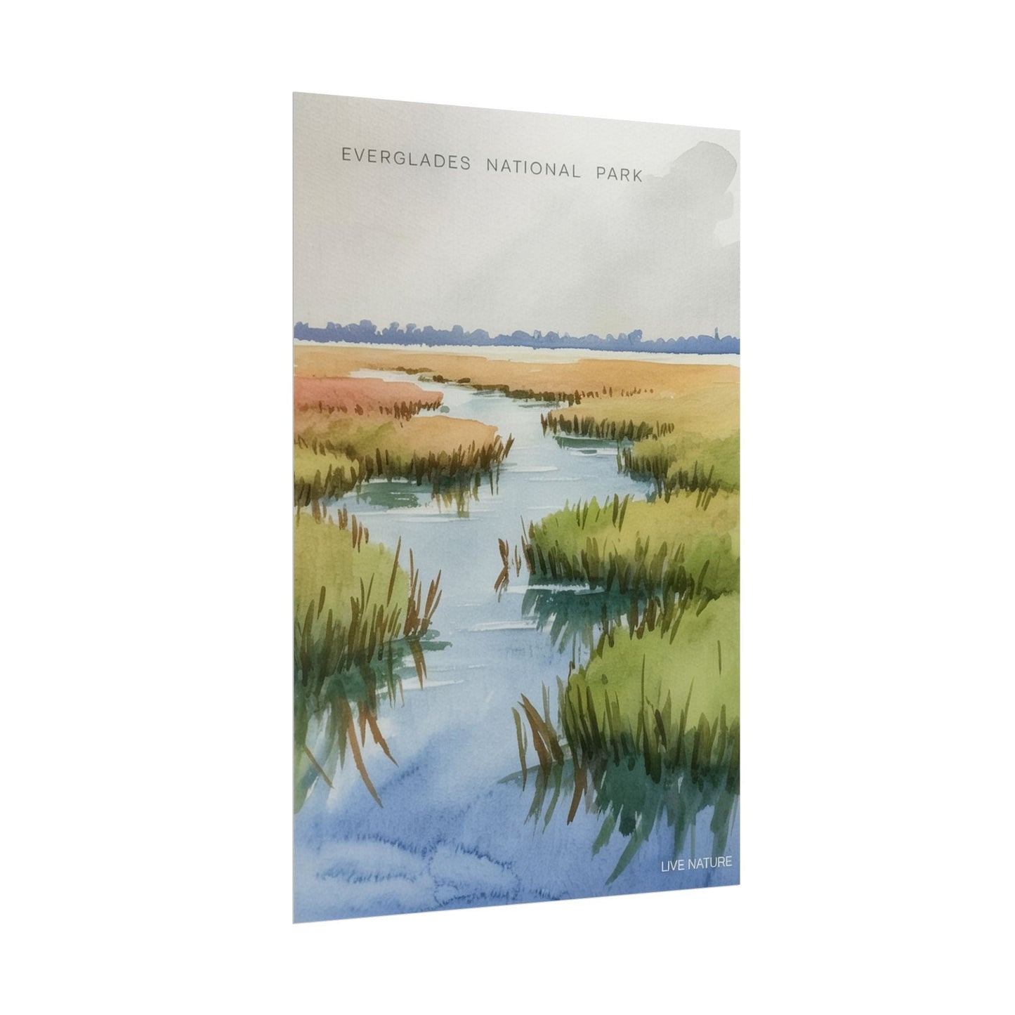 Everglades National Park Watercolor Poster Print