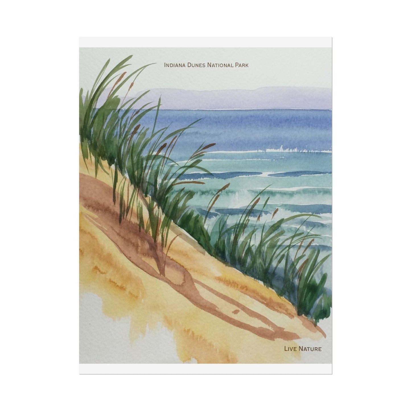 Indiana Dunes National Park Watercolor Print