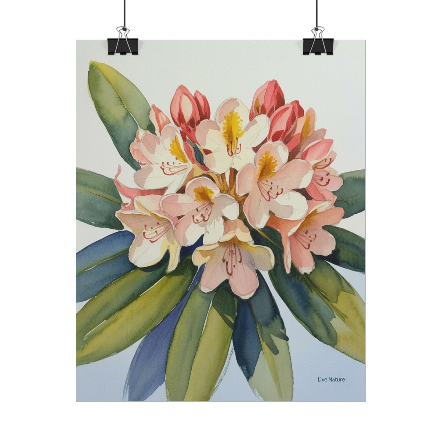 Coast Rhododendron Watercolor Print Washington Art