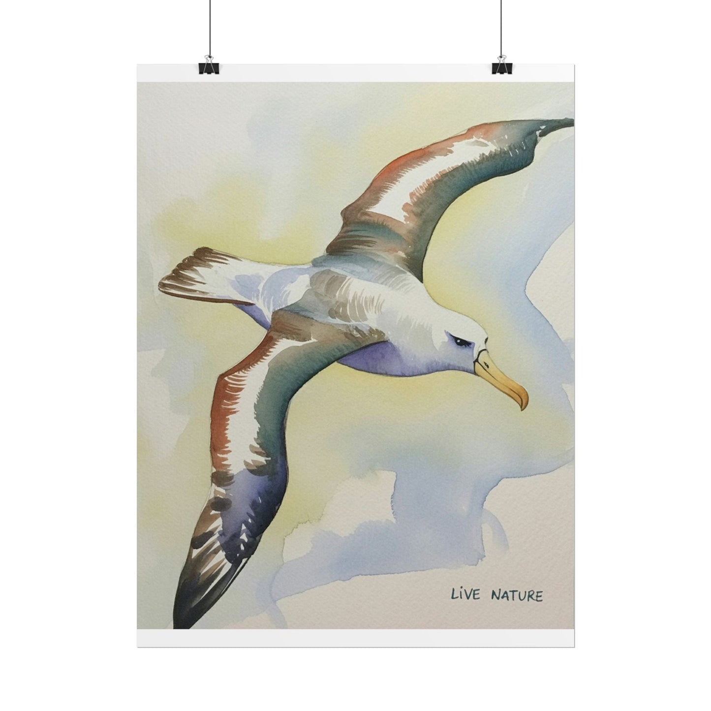 Albatross Watercolor Art Print - Live Nature Design