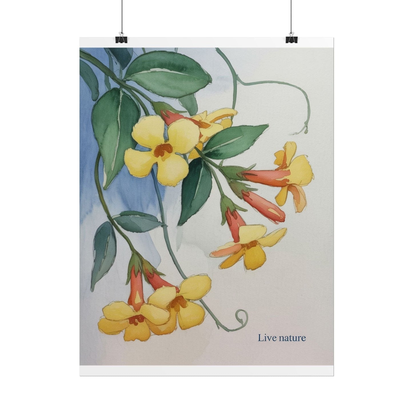 Yellow Jessamine Watercolor Art Print 'Live Nature