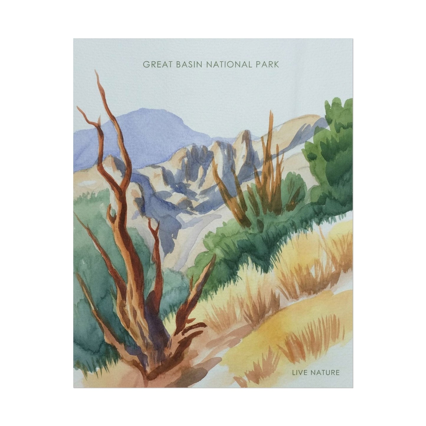 Great Basin National Park Watercolor Art Print