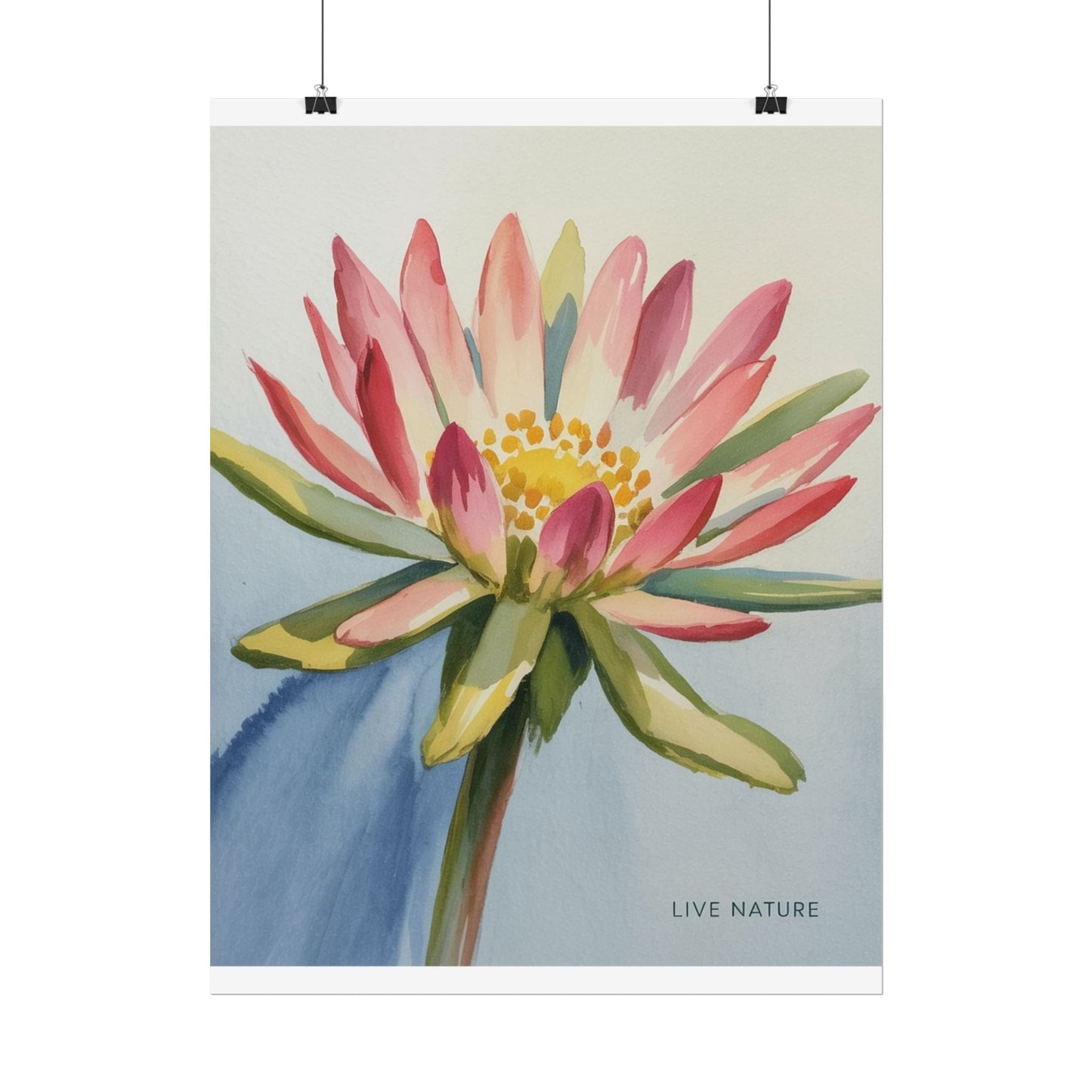 Bitterroot Flower Watercolor Print 'Live Nature