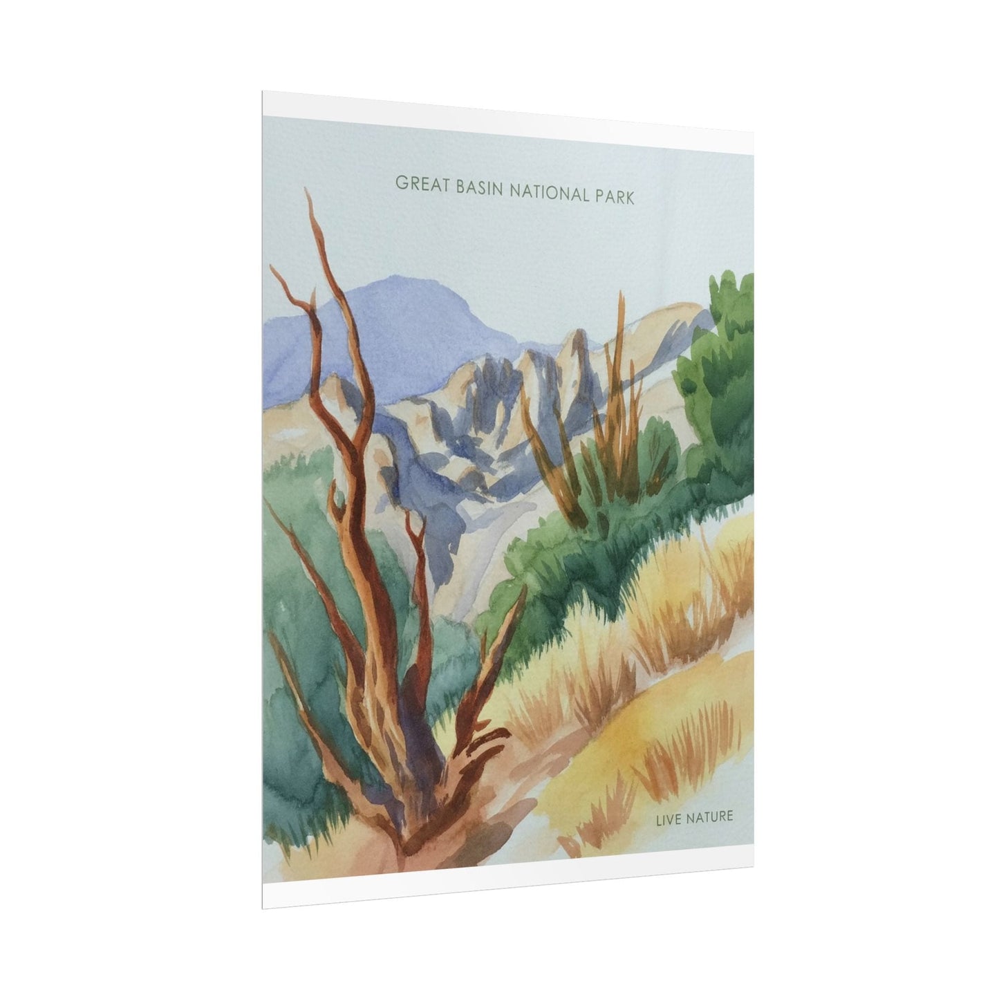 Great Basin National Park Watercolor Art Print