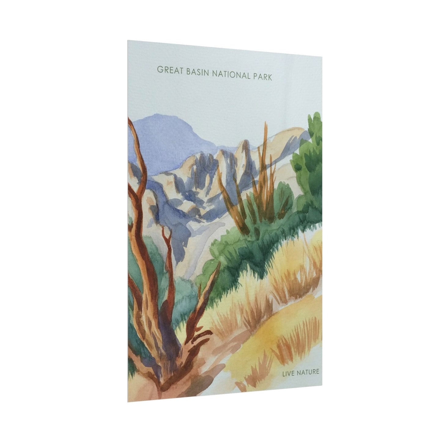 Great Basin National Park Watercolor Art Print