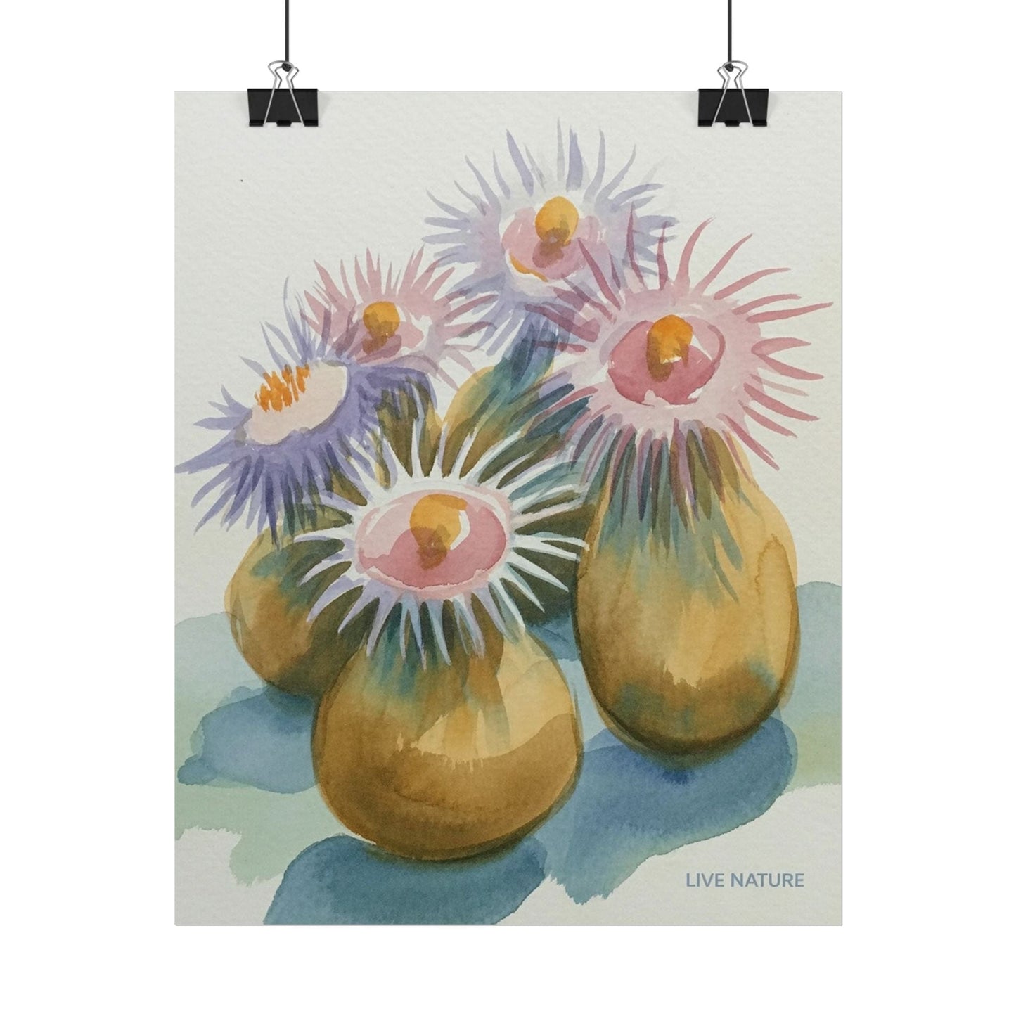 Colorful Sea Anemones Watercolor Art Print