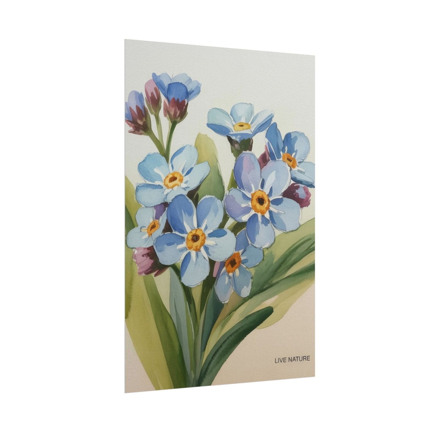 Alaska Forget-Me-Not Floral Watercolor Art Print