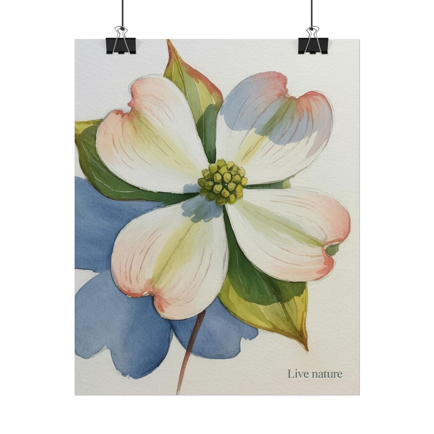 Flowering Dogwood Watercolor Print 'Live Nature