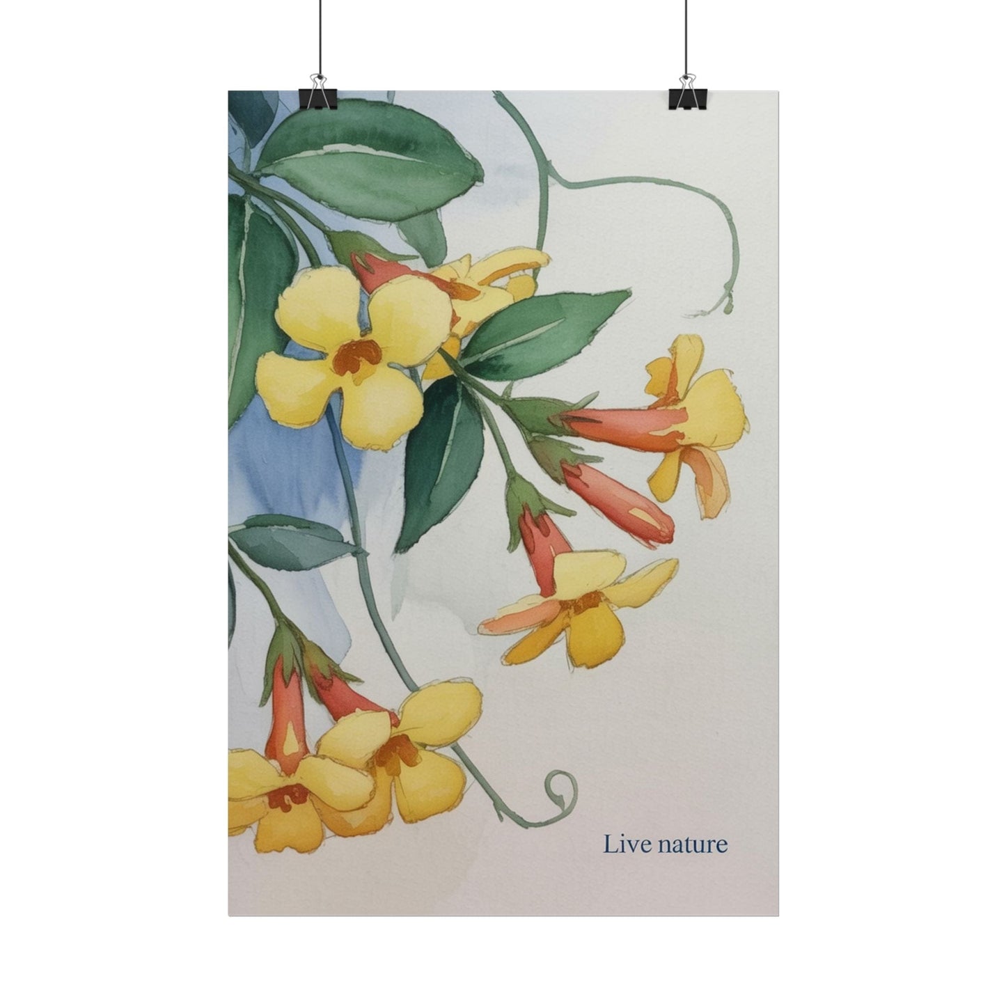 Yellow Jessamine Watercolor Art Print 'Live Nature